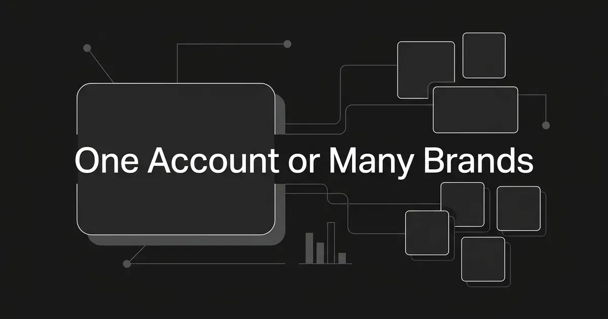 Abstract monochrome diagram of one large card linked to several smaller cards, with the cover line One Account or Many Brands.