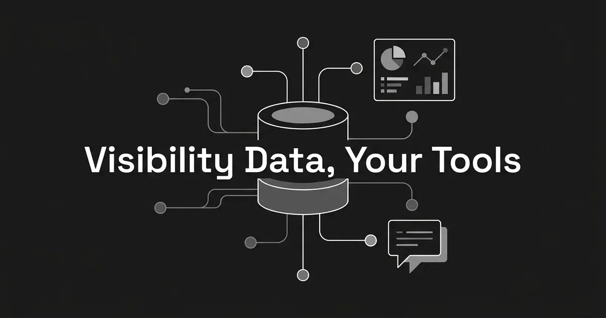 Abstract monochrome illustration of a central database cylinder connected by lines to a dashboard card and a chat bubble, under the cover line Visibility Data, Your Tools.