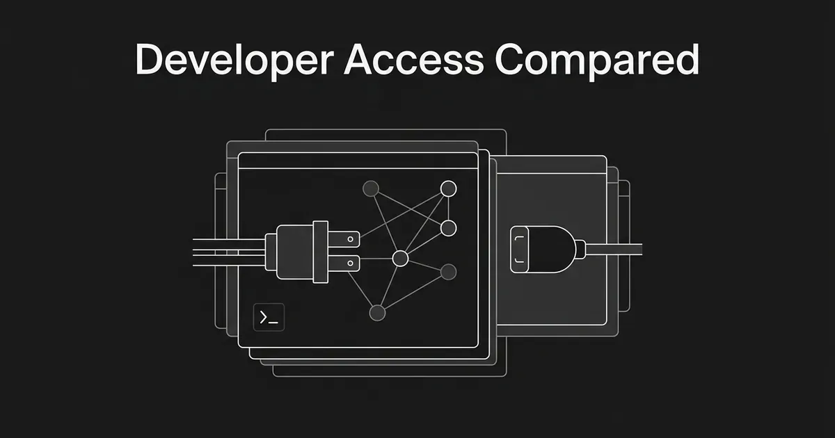 Flat monochrome illustration of an API plug connected to a network of nodes inside a stack of windows, with an open socket on the right, under the words Developer Access Compared.