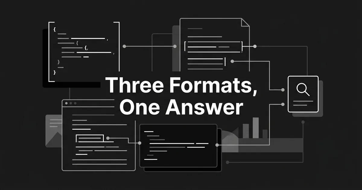 Monochrome flat-vector illustration on a charcoal background showing three abstract code-block and document motifs connected by thin lines to a single search-answer card, with the centered white cover line "Three Formats, One Answer".