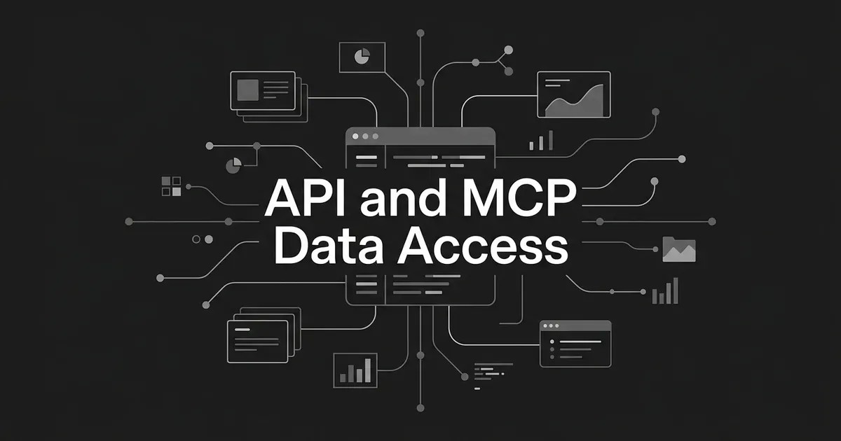 A monochrome cover with the words API and MCP Data Access over a central data block connected by thin lines to small chart and card shapes on a charcoal background.